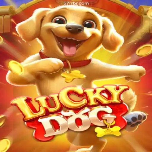 Step into Excitement with LuckyDog: A New Wave in Brazilian Online Casinos